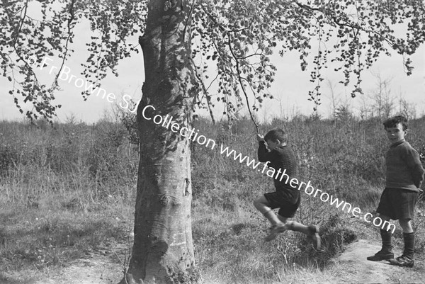 BOYS SWINGING FROM TREE